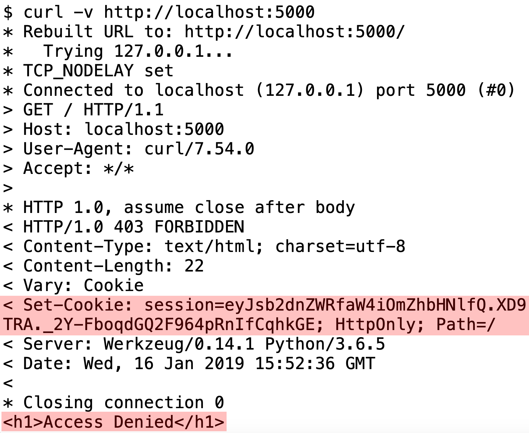 The server returning a session cookie