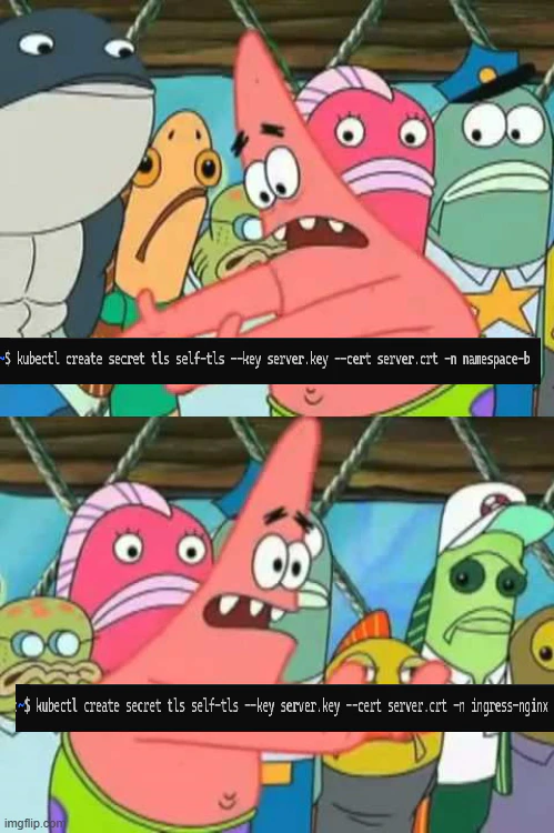 Meme of Patrick star moving things showing how Kubernetes certs are moved to the nginx-ingress namespace
