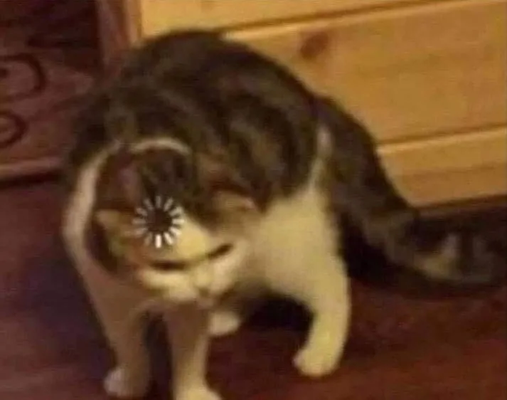 Me when opening the config file