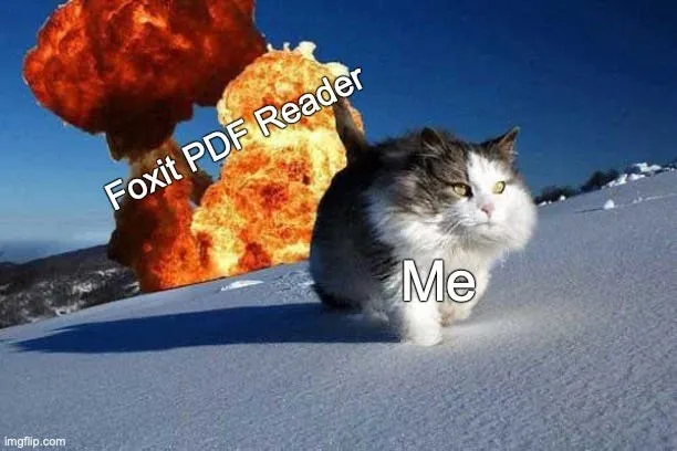 Meme of a cat walking away from an explosion with caption Foxit (explosion) / Me (cat)