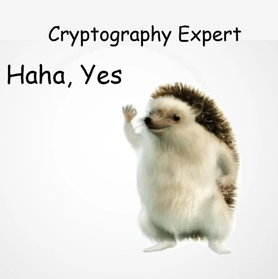 Cryptography expert haha yes meme